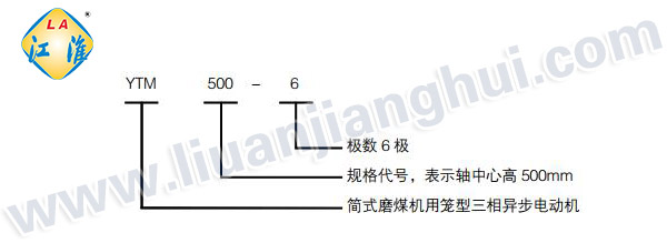 YTM磨煤機(jī)用高壓三相異步電動(dòng)機(jī)_型號(hào)意義說明_六安江淮電機(jī)有限公司